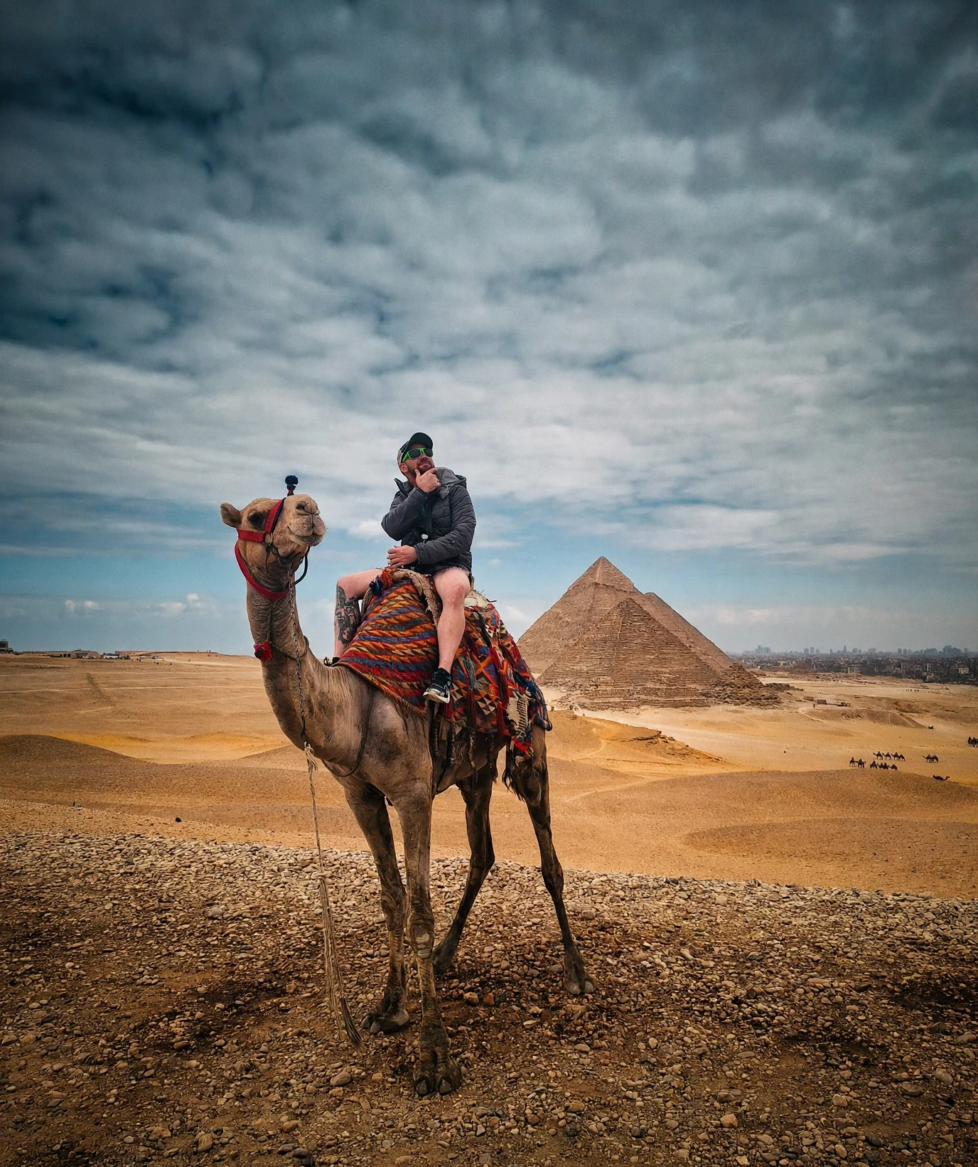 Props on a camel at Giza